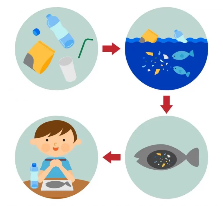 日本も原因 マイクロプラスチックが人体に悪影響 危険な理由は残留性有機汚染物質 ライフマニュアル